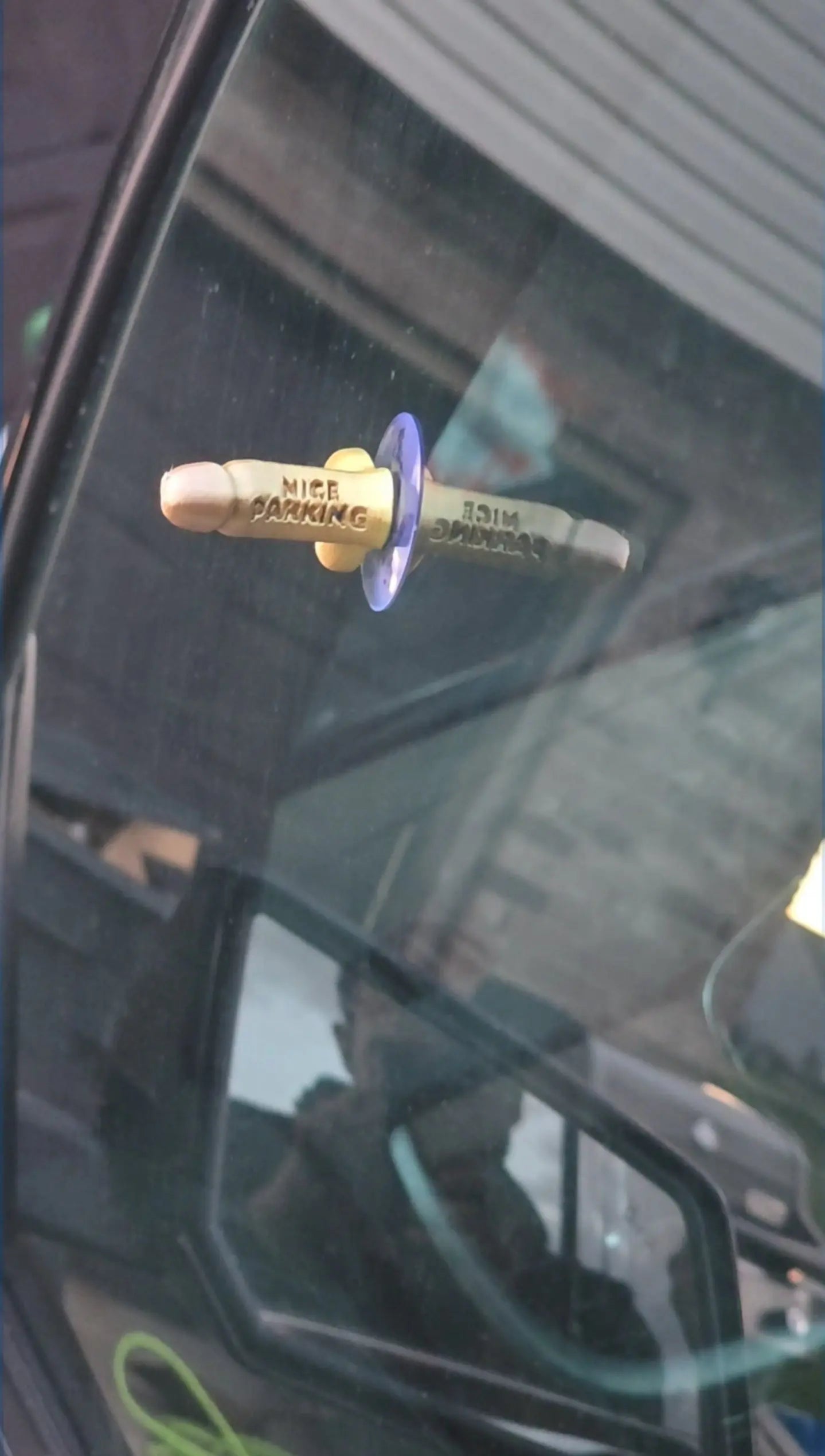 Nice Parking Dick, Bad Parking Decor - Galvaleos