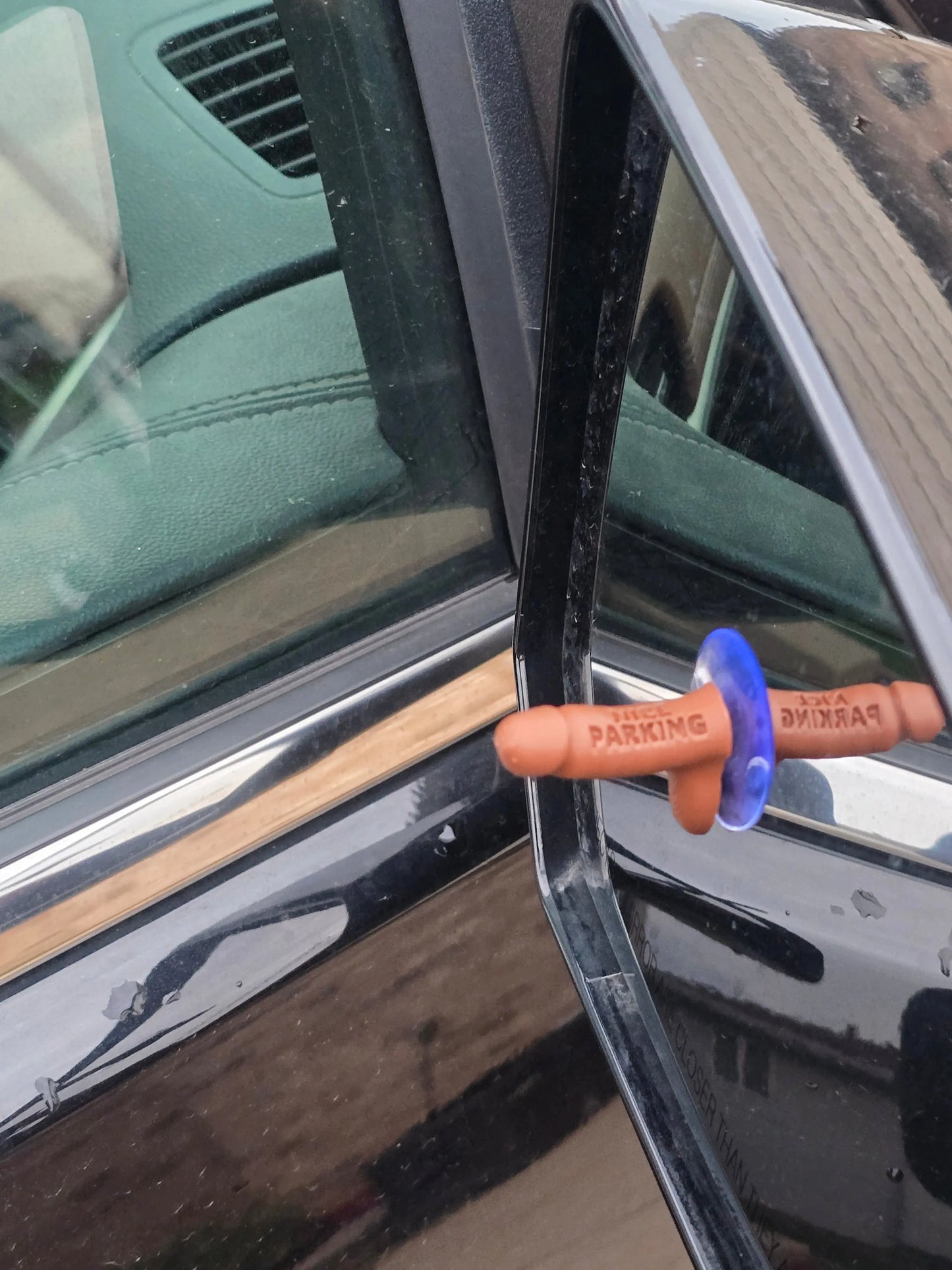 Nice Parking Dick, Bad Parking Decor - Galvaleos