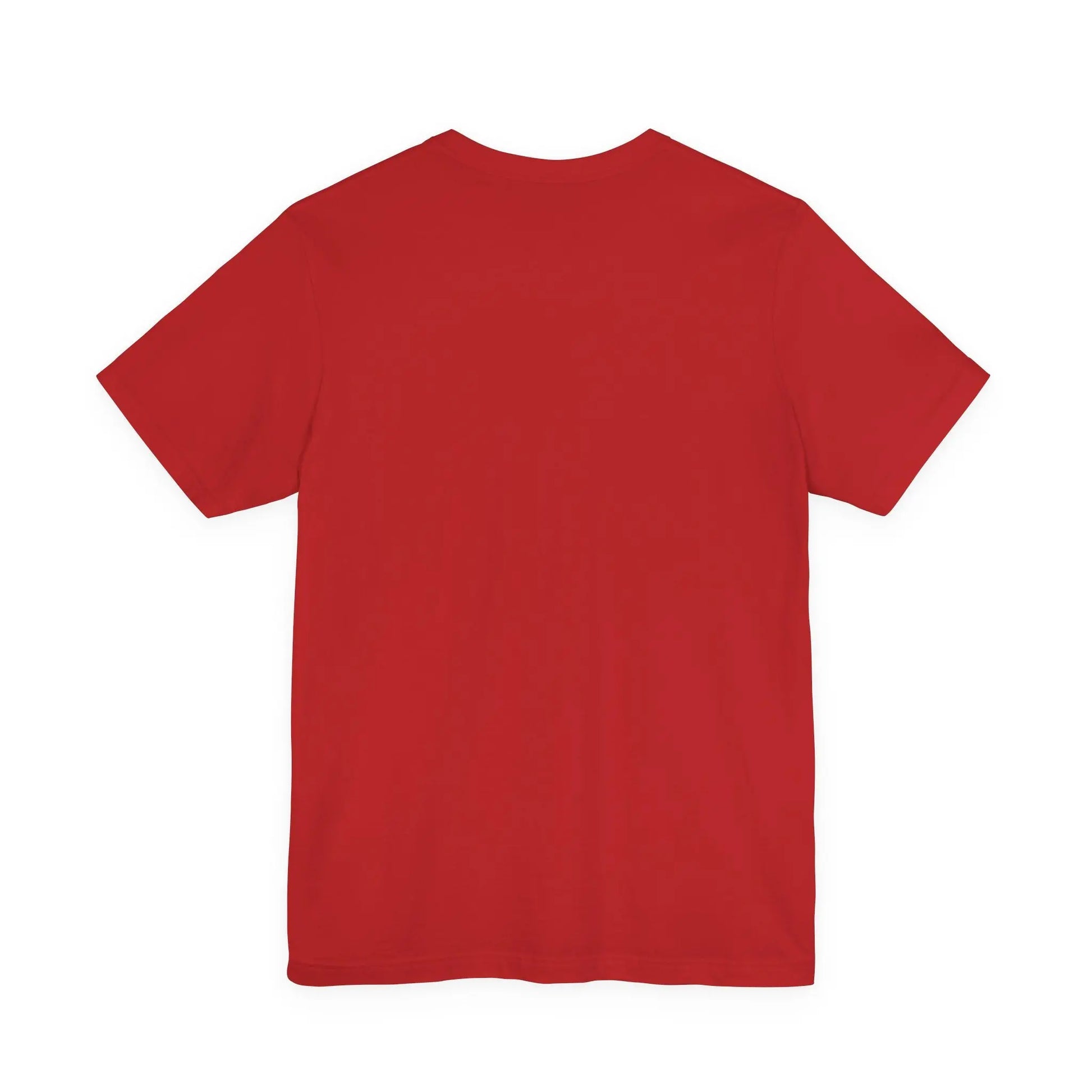 Diddy Did it T-shirt Printify