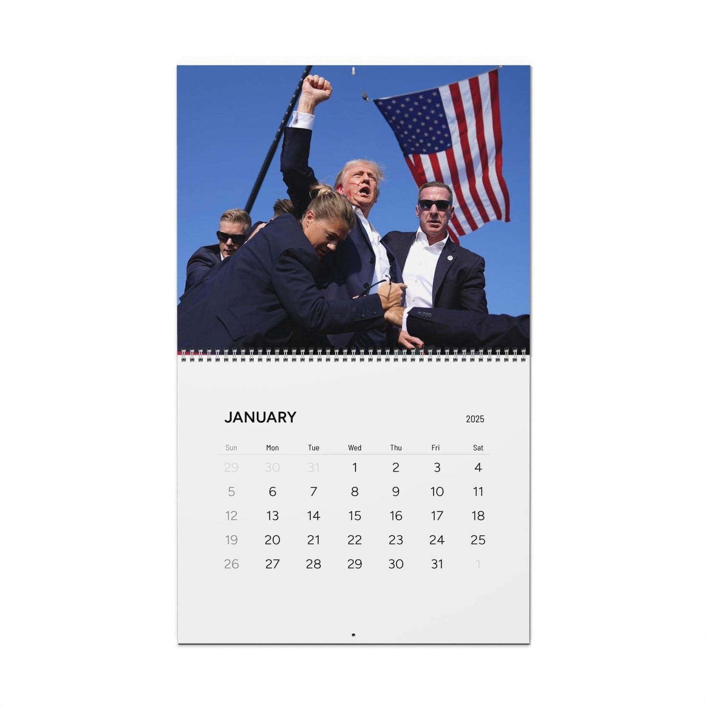 Wall Calendar Trump and Cats 2025 - Galvaleos Galvaleos Galvaleos 11" x 8.5" / Matte Printify Calendar Wall Calendar Trump and Cats 2025