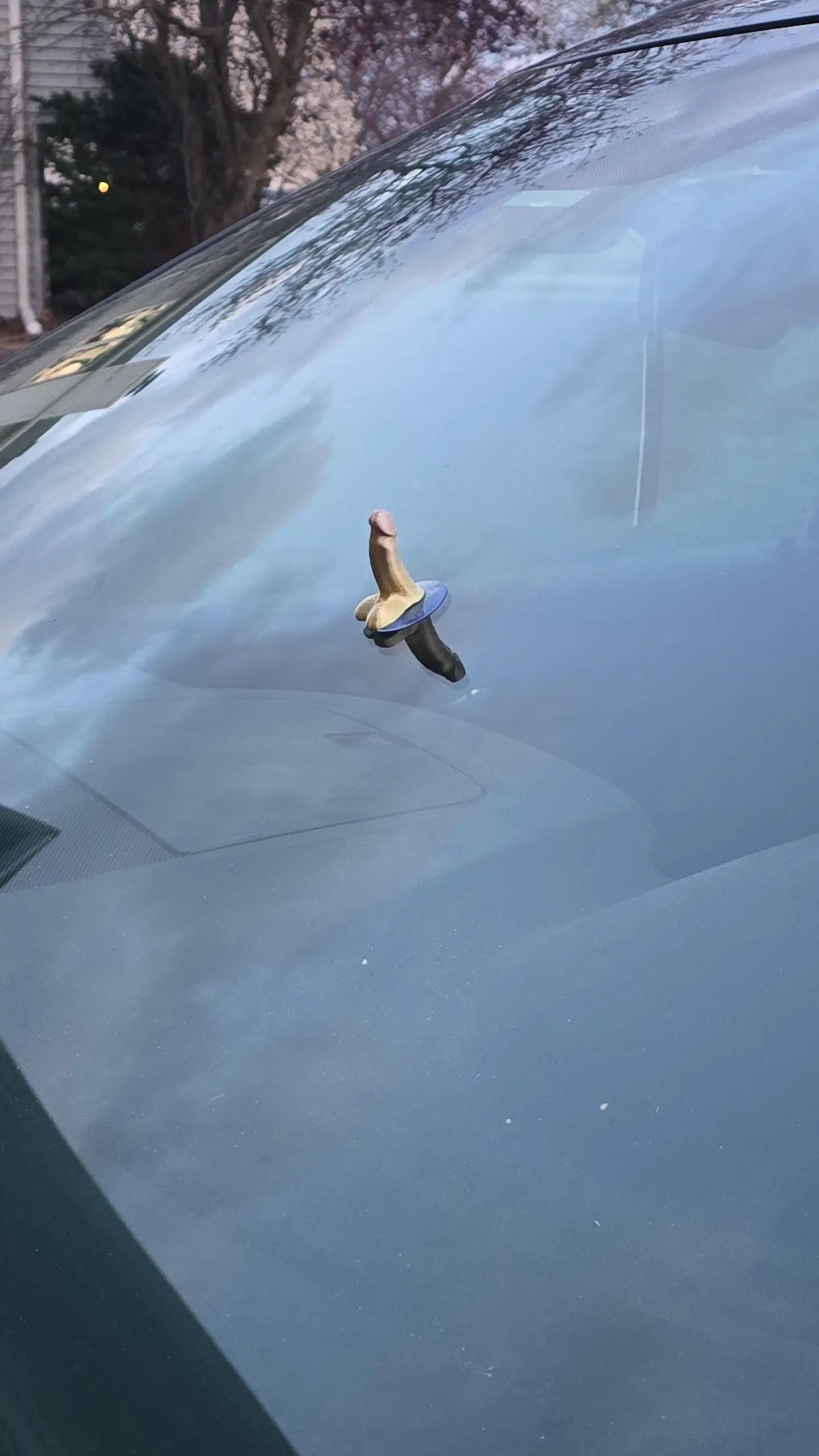 You Parked Like an Idiot, Bad Parking Cards Hilarious Pranks, Nice Parking D*ck For Cars Galvaleos