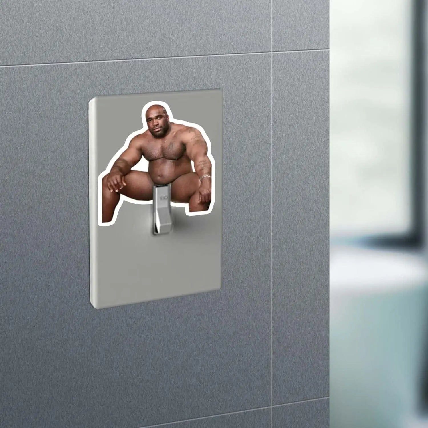 Barry Wood Light Switch Stickers And Pencil Light Switch Covers, Funny Adult Pranks and Gags Galvaleos