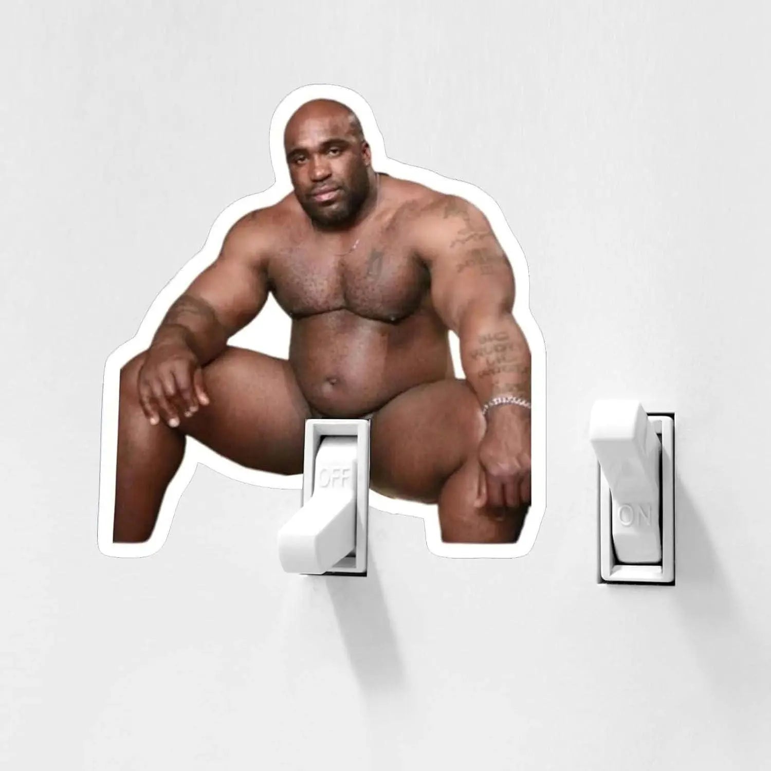 Barry Wood Light Switch Stickers And Pencil Light Switch Covers, Funny Adult Pranks and Gags Galvaleos